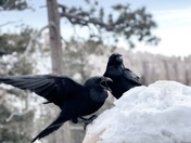 Bryce Canyon National Park