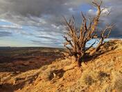 Canyonlands National Park