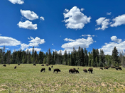 Grand Canyon National Park