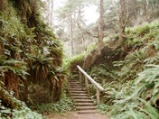 Olympic National Park