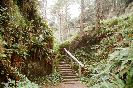 Olympic National Park