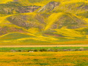 Carrizo Plain National Monument