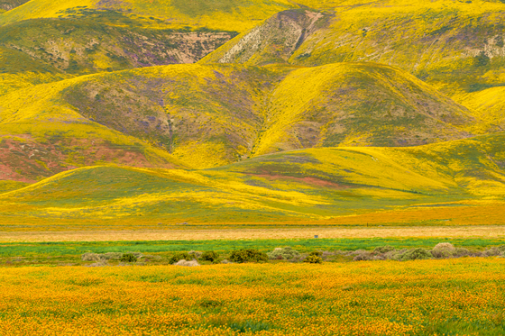 Carrizo Plain National Monument