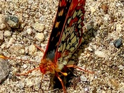 Yosemite National Park 