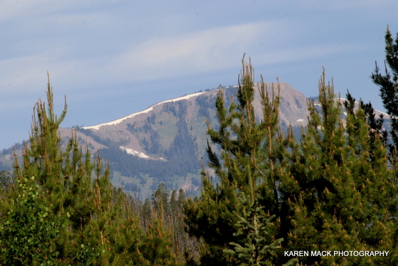 Mt Zirkle Wilderness, CO