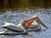 Everglades National park