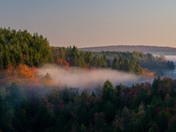 Monongahela National Forest