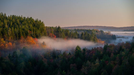 Monongahela National Forest