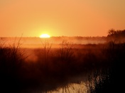 Alligator River National Wildlife Refuge