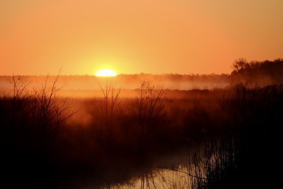 Alligator River National Wildlife Refuge