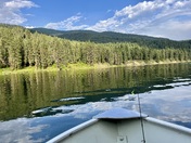 Colville  National forest 