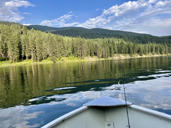 Colville  National forest 