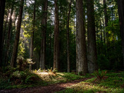 King Range Wilderness