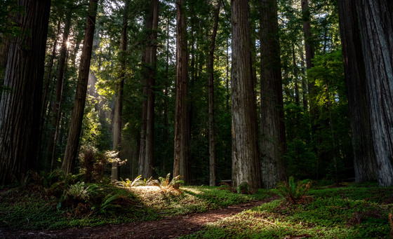 King Range Wilderness