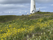 Yaquina Head Outstanding Natural Area