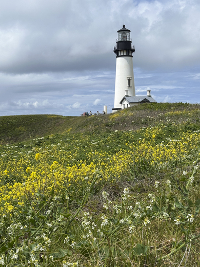 Yaquina Head Outstanding Natural Area