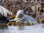 Yaquina Head Outstanding Natural Area