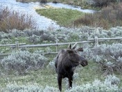 Bighorn National Forest