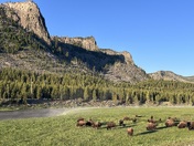 Yellowstone National Park 