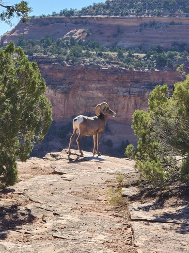 Colorado National Monument