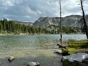Medicine Bow-Route National Forest