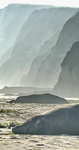 Point Reyes National Seashore