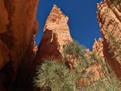 Bryce Canyon National Park