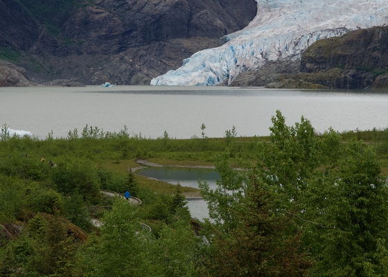 Mendenhall Glacier Recreation Area, Tongass National Forest