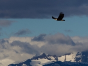 Glacier Bay National Park