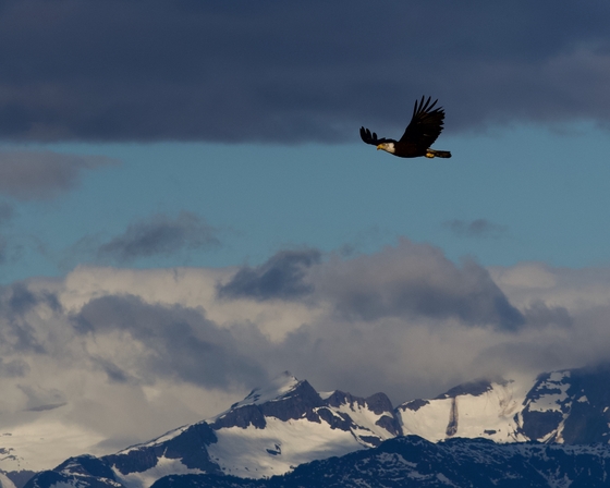 Glacier Bay National Park