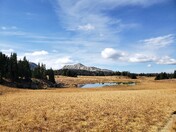 Medicine Bow National Forest