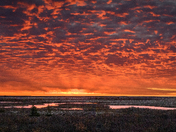 Sunrise over the sub-arctic