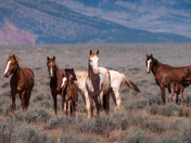 Grand Canyon National Park