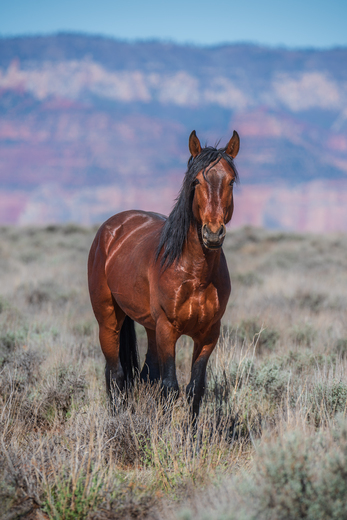 Grand Canyon National Park