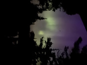 Isle Royale National Park