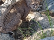 Yosemite National Park
