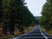 Deschutes National Forest
