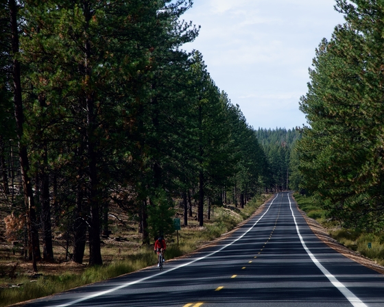 Deschutes National Forest