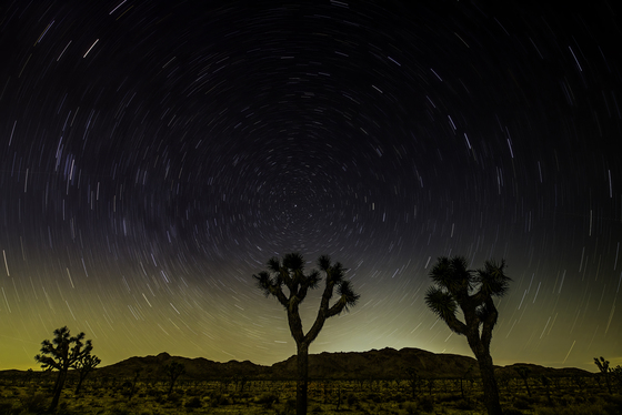 Joshua Tree National Park