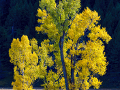 Grand Teton National Park