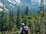 Kings Canyon National Park