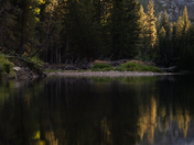 Yosemite National Park