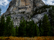 Yosemite National Park