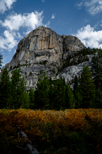 Yosemite National Park
