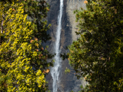 Yosemite National Park