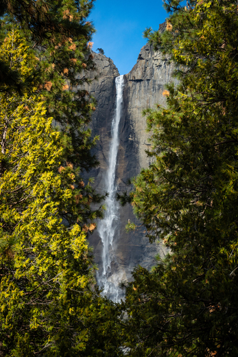 Yosemite National Park