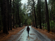 Yosemite National Park