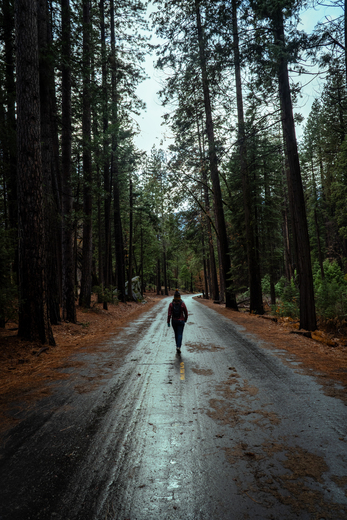 Yosemite National Park