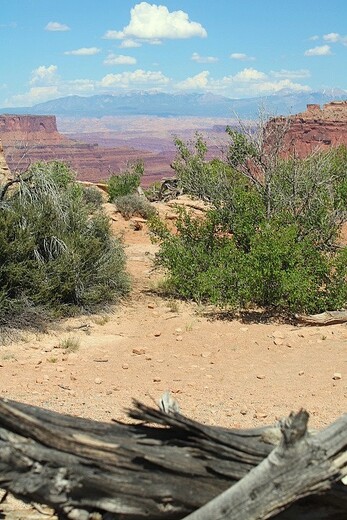 Canyonlands National Park
