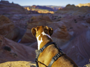 Vermillion Cliffs National Monument